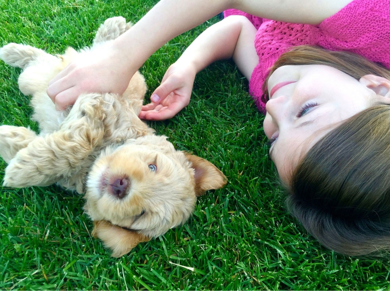 A girl and a puppy lying down after an artificial grass cleaning.